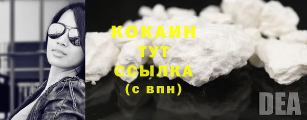 шишки Баксан