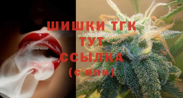 шишки Баксан