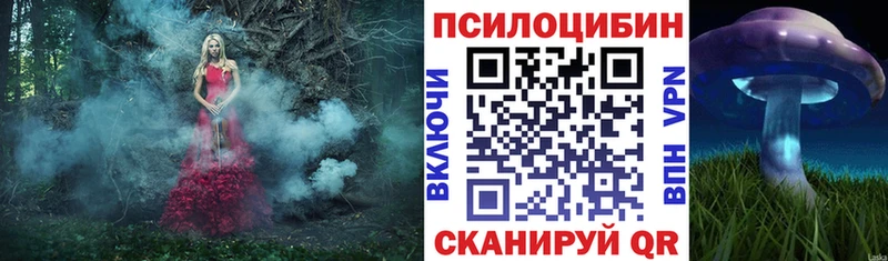 Псилоцибиновые грибы мухоморы  где найти наркотики  Тайшет 