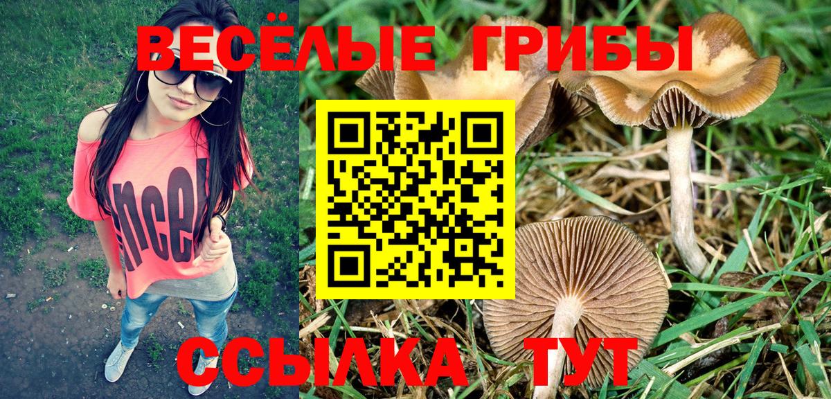 Псилоцибиновые грибы ЛСД  Вход с VPN  Тайшет 
