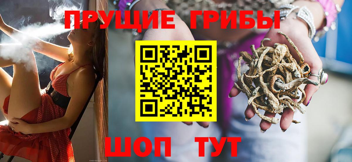 Галлюциногенные грибы ЛСД Тайшет