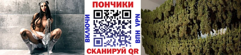 купить  сайты  гидра tor  Конопля гибрид  Тайшет 
