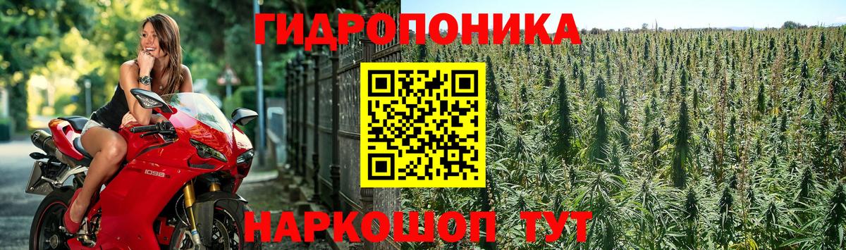 Марихуана White Widow  Марихуана OG Kush  Вход с VPN  МАРИХУАНА White Widow  Бошки Шишки OG Kush  Тайшет 